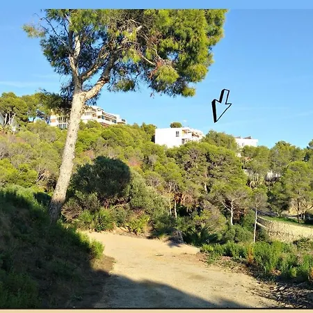 Apartament Ole Ole Salou
