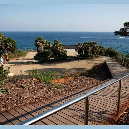 Ole Ole Salou